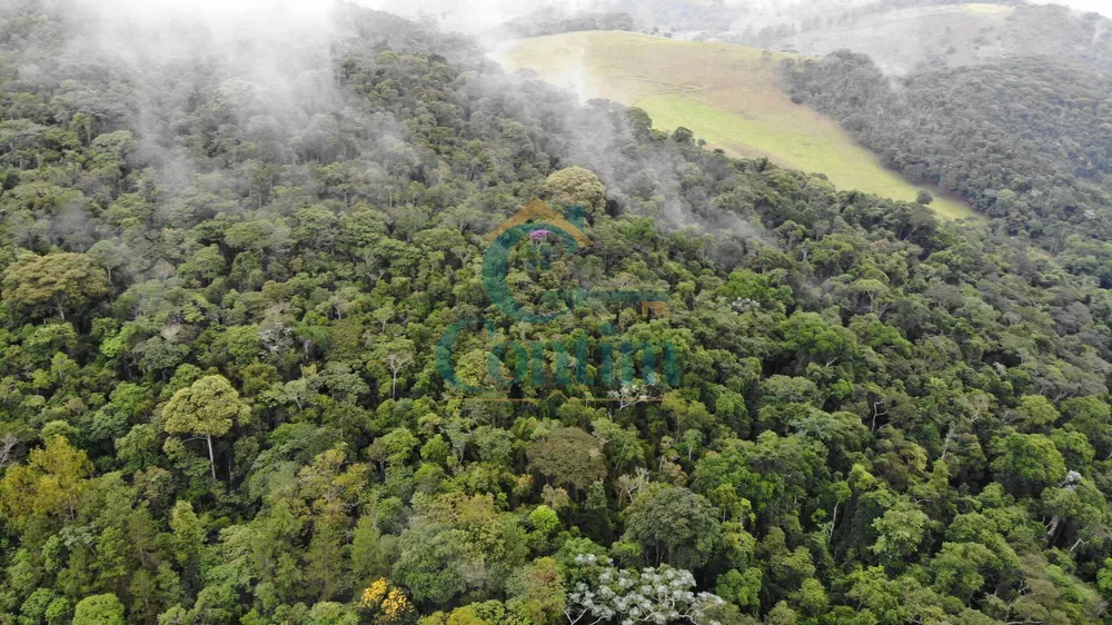 Fazenda, 87 hectares - Foto 3
