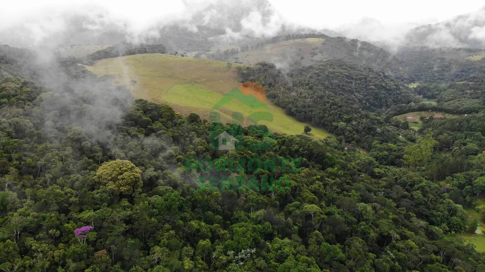 Fazenda, 87 hectares - Foto 4