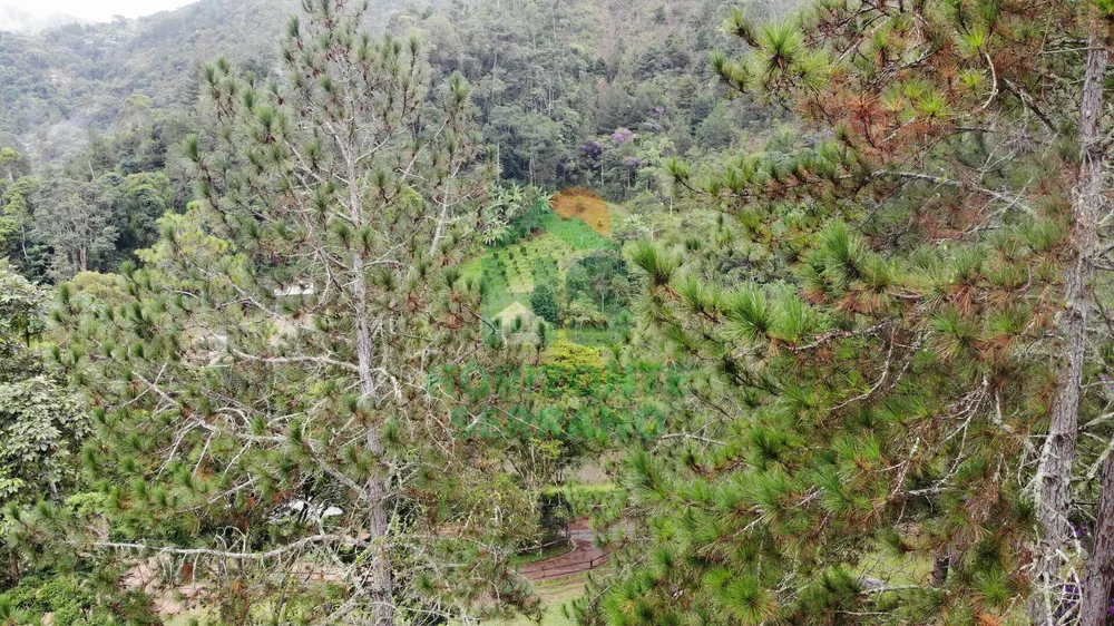 Fazenda, 87 hectares - Foto 16