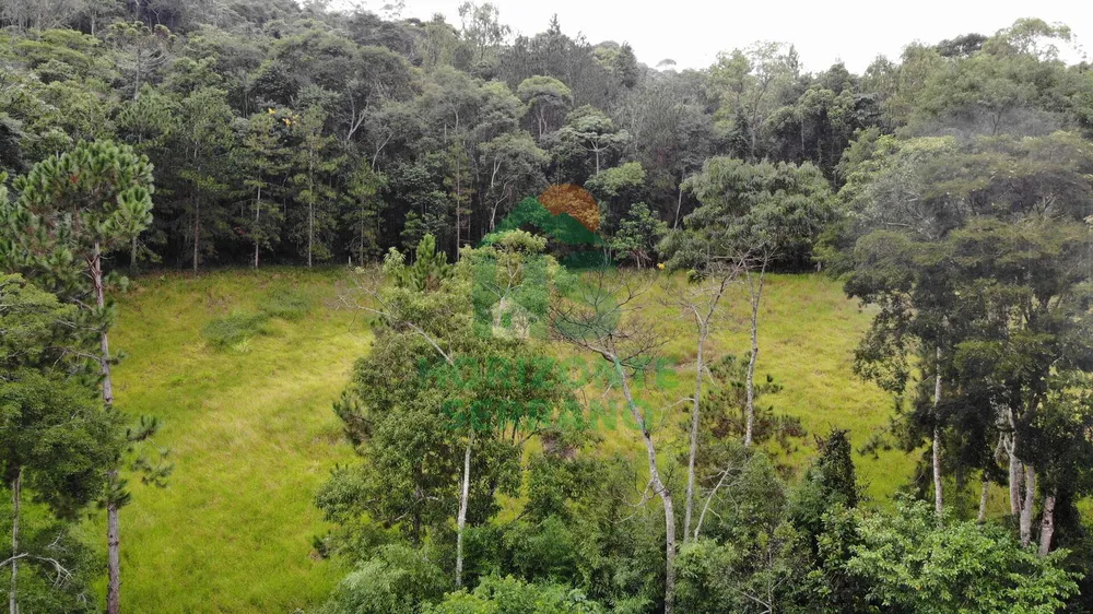 Fazenda, 87 hectares - Foto 20