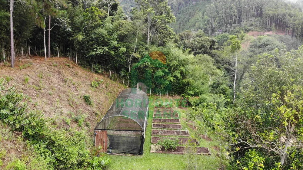 Fazenda, 87 hectares - Foto 11