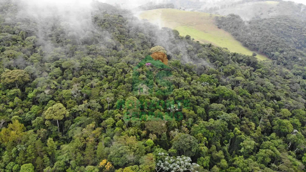 Fazenda, 87 hectares - Foto 3