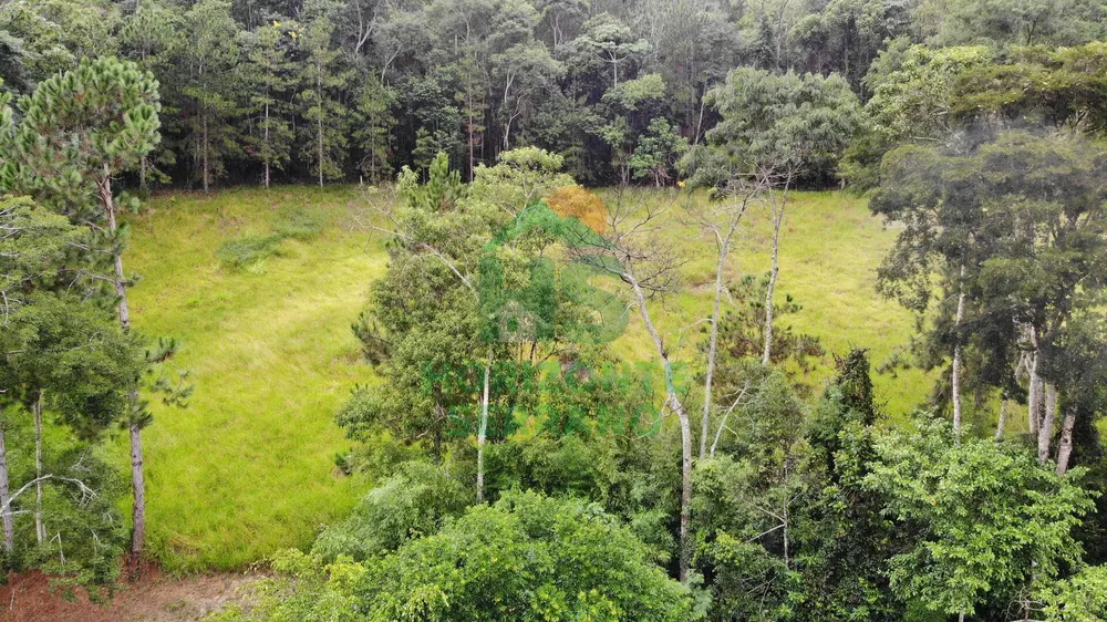 Fazenda, 87 hectares - Foto 19