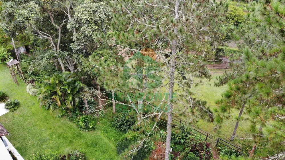 Fazenda, 87 hectares - Foto 15