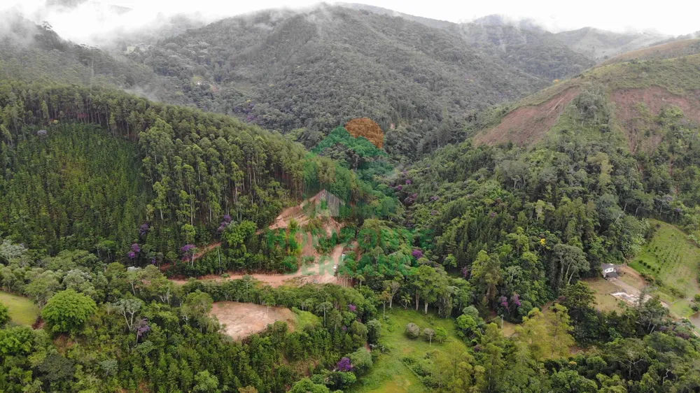 Fazenda, 87 hectares - Foto 7
