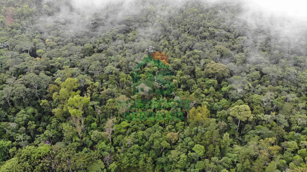 Fazenda, 87 hectares - Foto 2