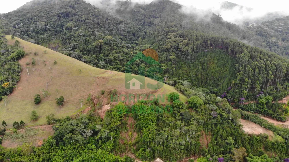 Fazenda, 87 hectares - Foto 6