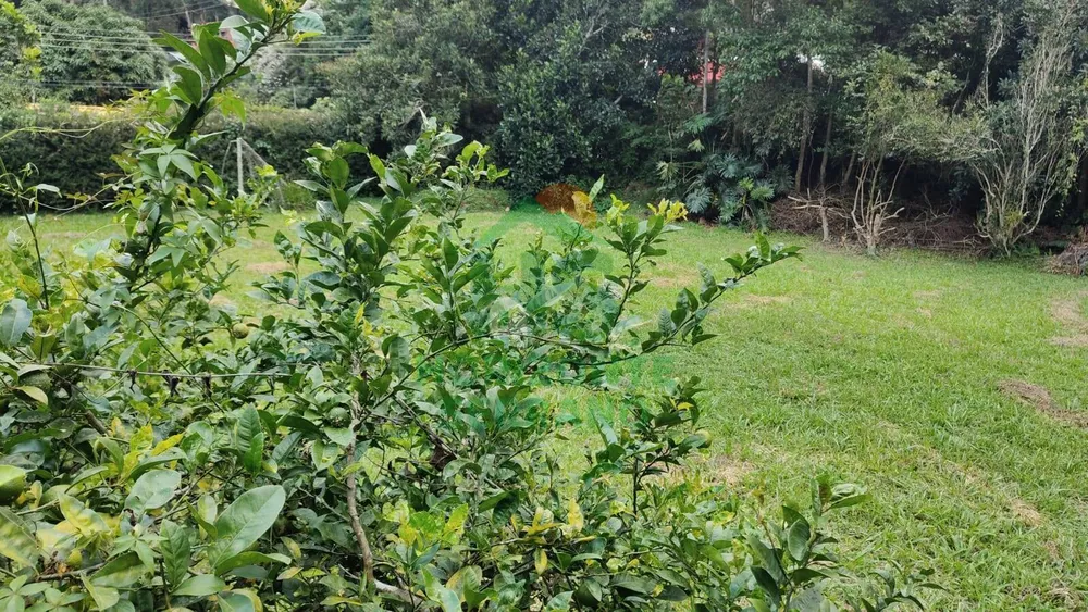 Terreno, 1285 m² - Foto 3