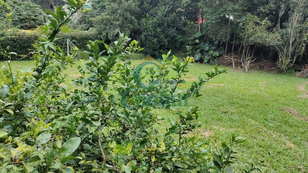 Terreno, 1285 m² - Foto 3