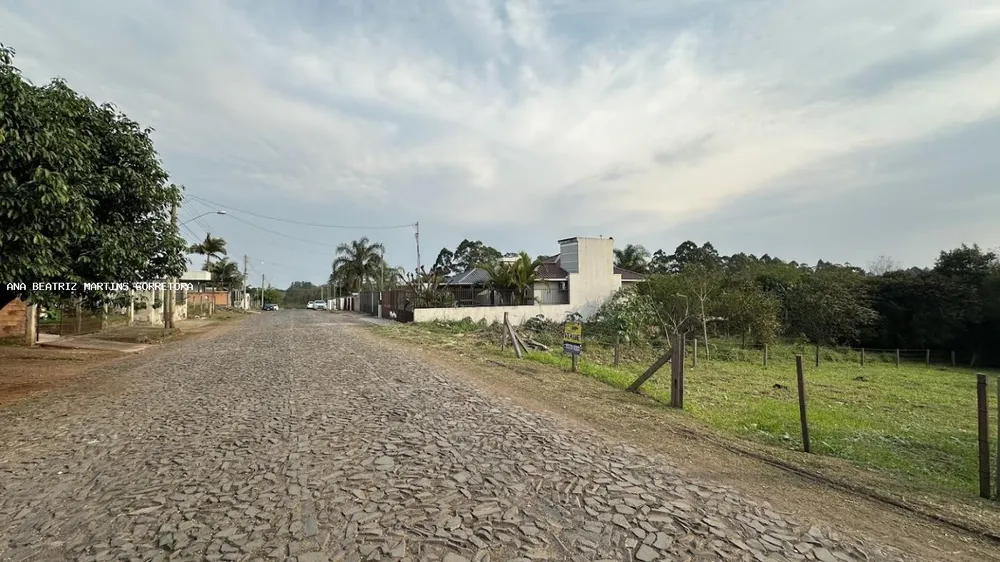 Terreno - Foto 5