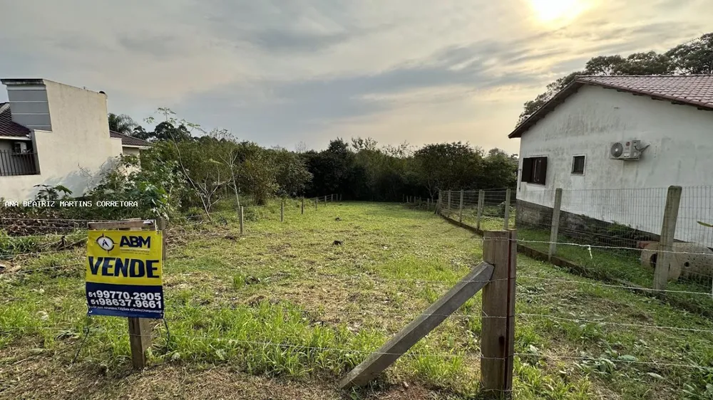 Terreno - Foto 6