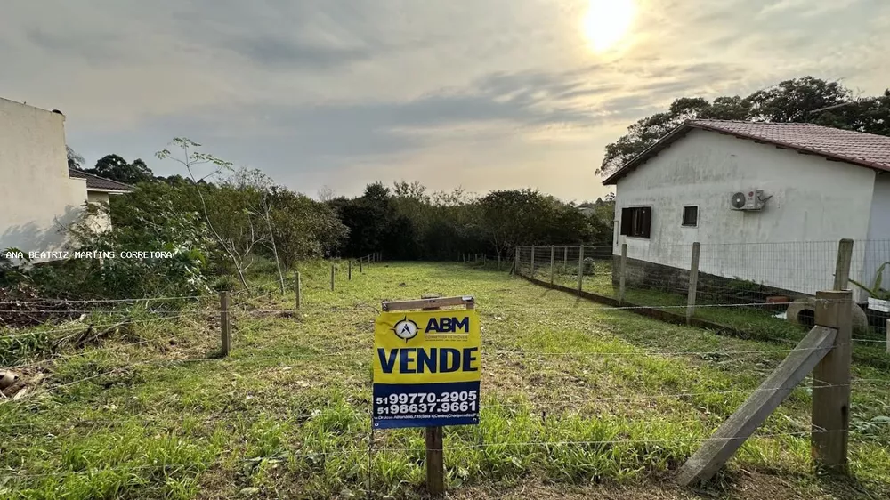Terreno - Foto 5