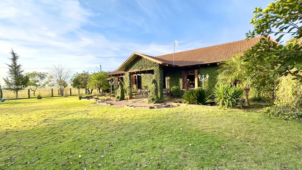 Sítio, 2 quartos, 3 hectares - Foto 17
