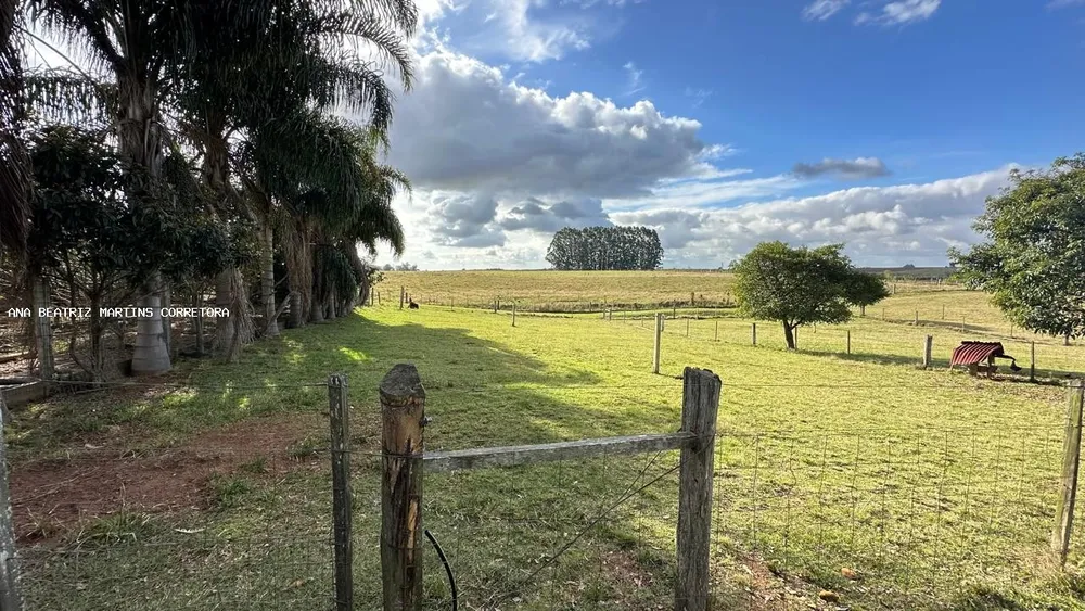 Sítio, 2 quartos, 3 hectares - Foto 14