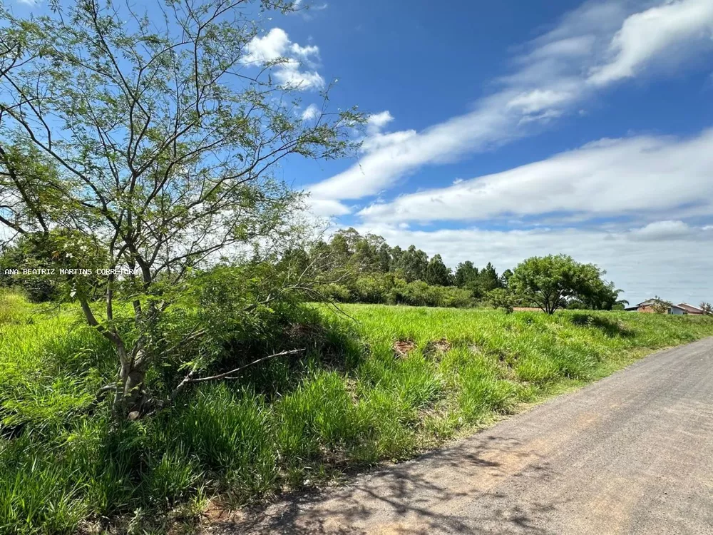 Terreno, 2426 m² - Foto 4