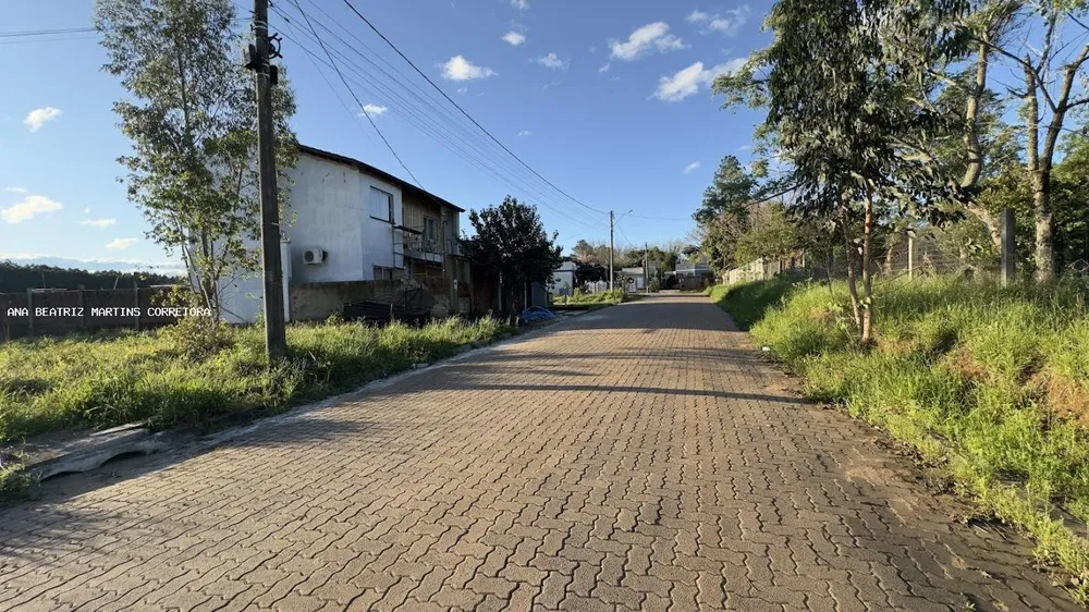 Terreno, 250 m² - Foto 3