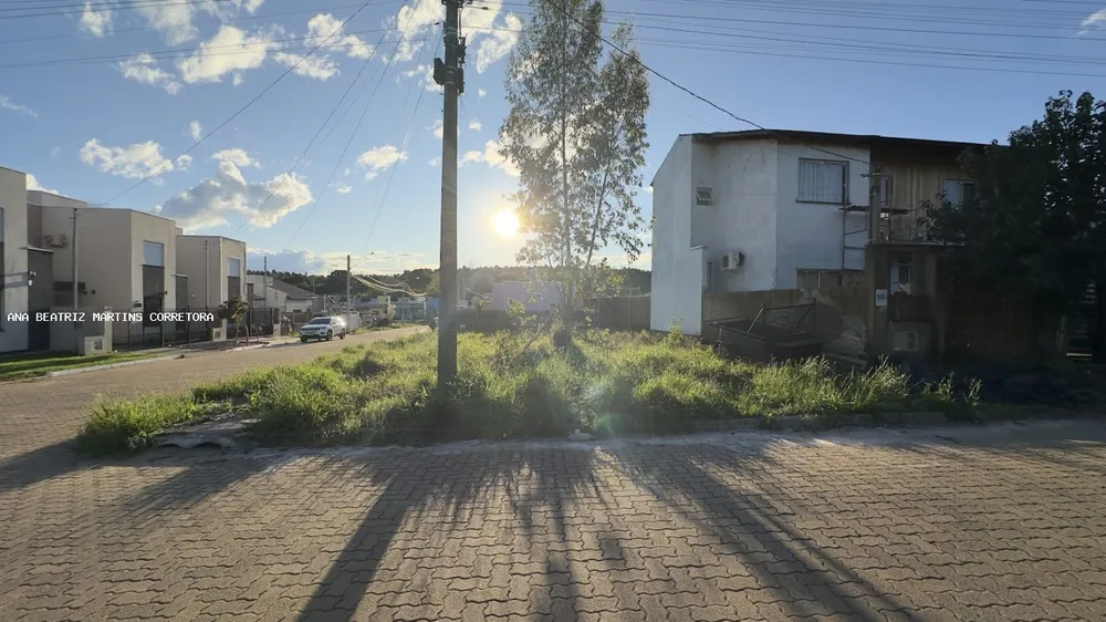 Terreno, 250 m² - Foto 4