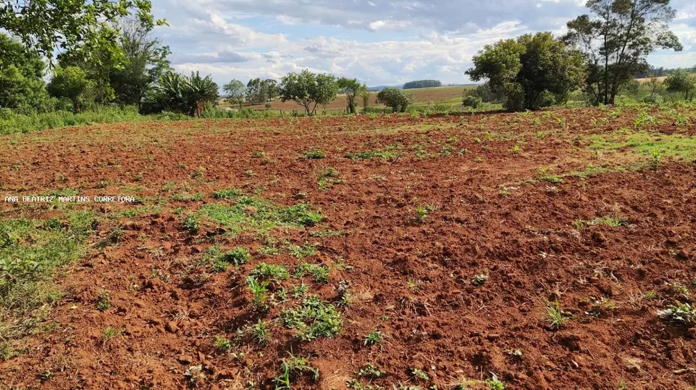 Terreno à venda, 6000m² - Foto 4