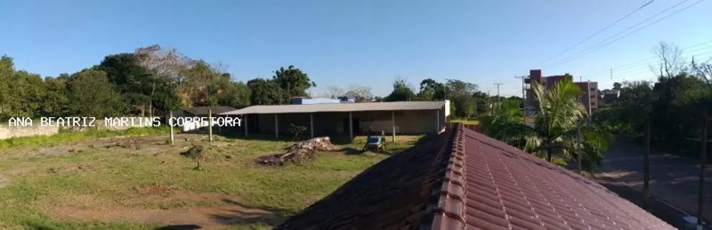 Depósito-Galpão - Foto 1