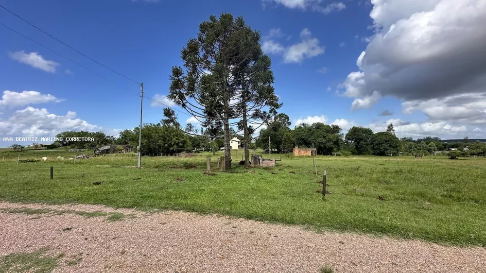 Loteamento e Condomínio, 5000 m² - Foto 2