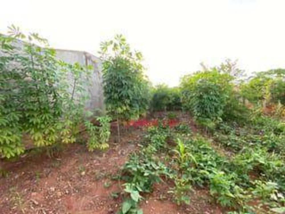 Terreno, 360 m² - Foto 7