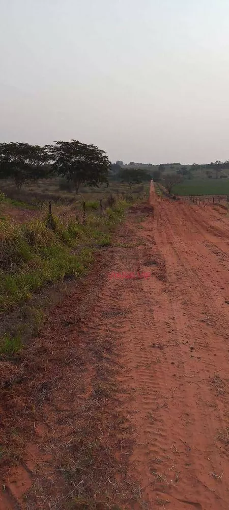 Sítio, 18 hectares - Foto 2