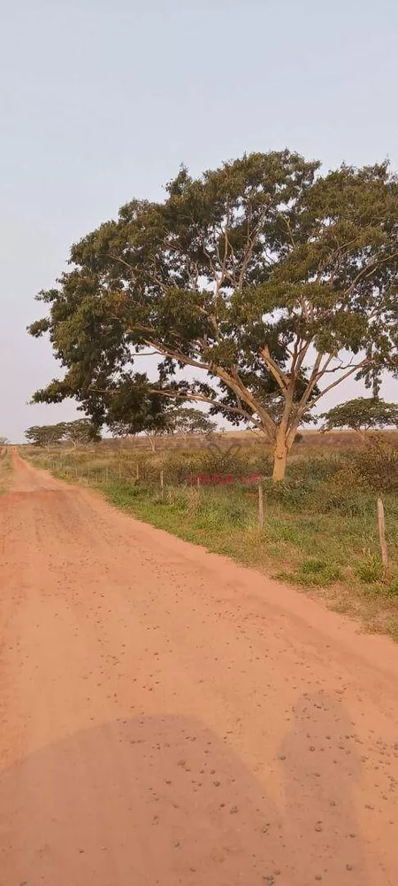 Sítio, 18 hectares - Foto 1