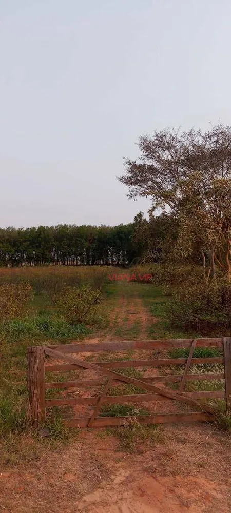Sítio, 18 hectares - Foto 2