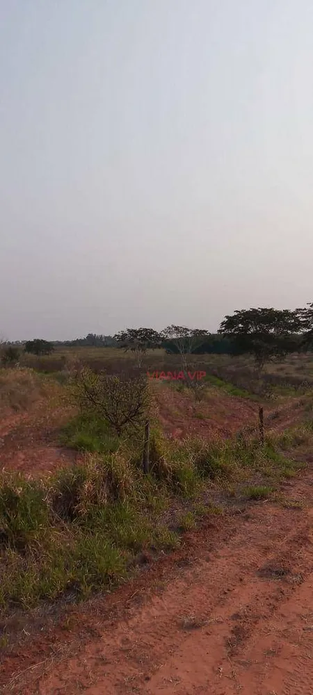 Sítio, 18 hectares - Foto 3