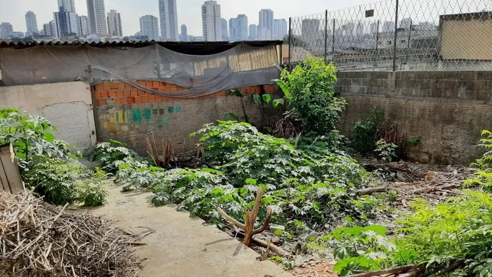 Terreno, 450 m² - Foto 8