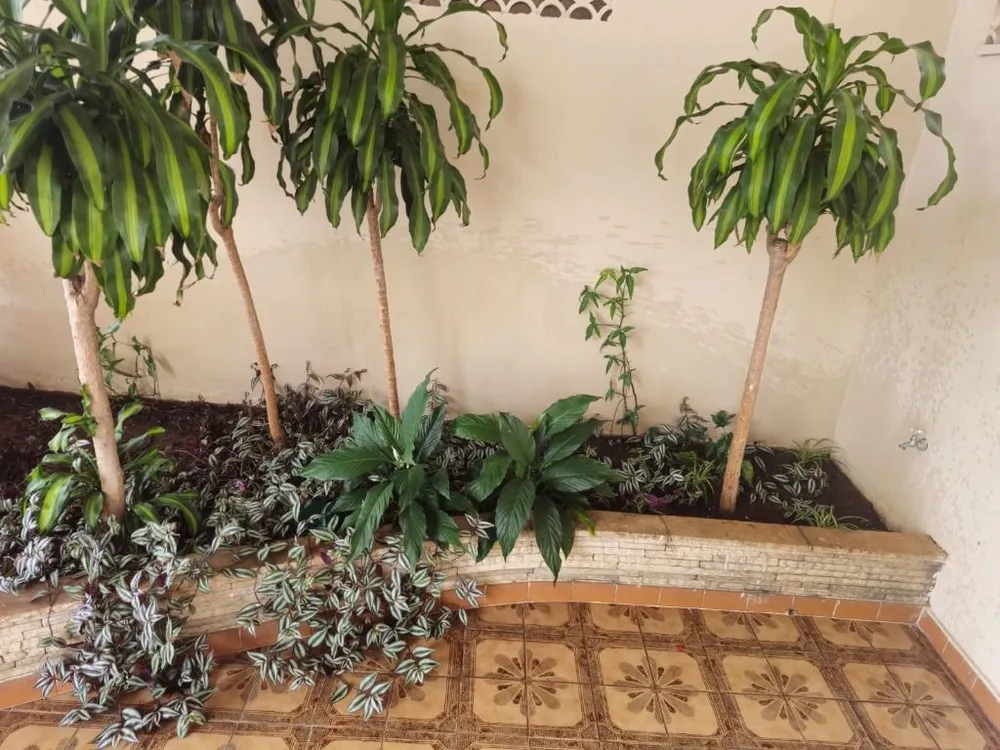 Sobrado, 5 quartos, 420 m² - Foto 3