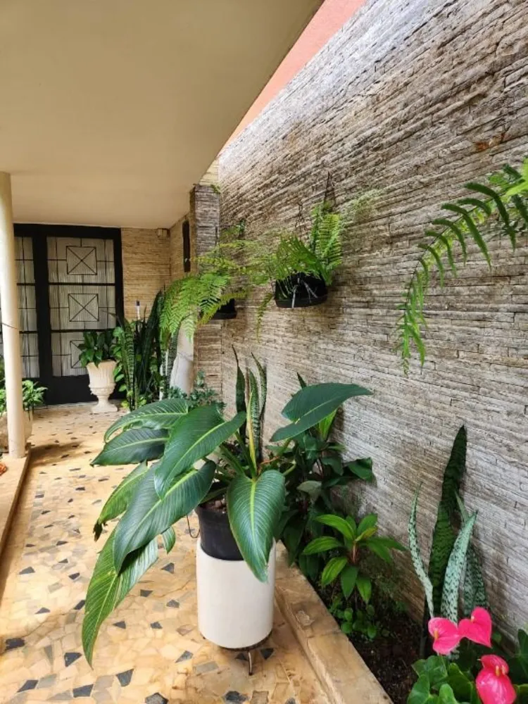 Sobrado, 5 quartos, 420 m² - Foto 5