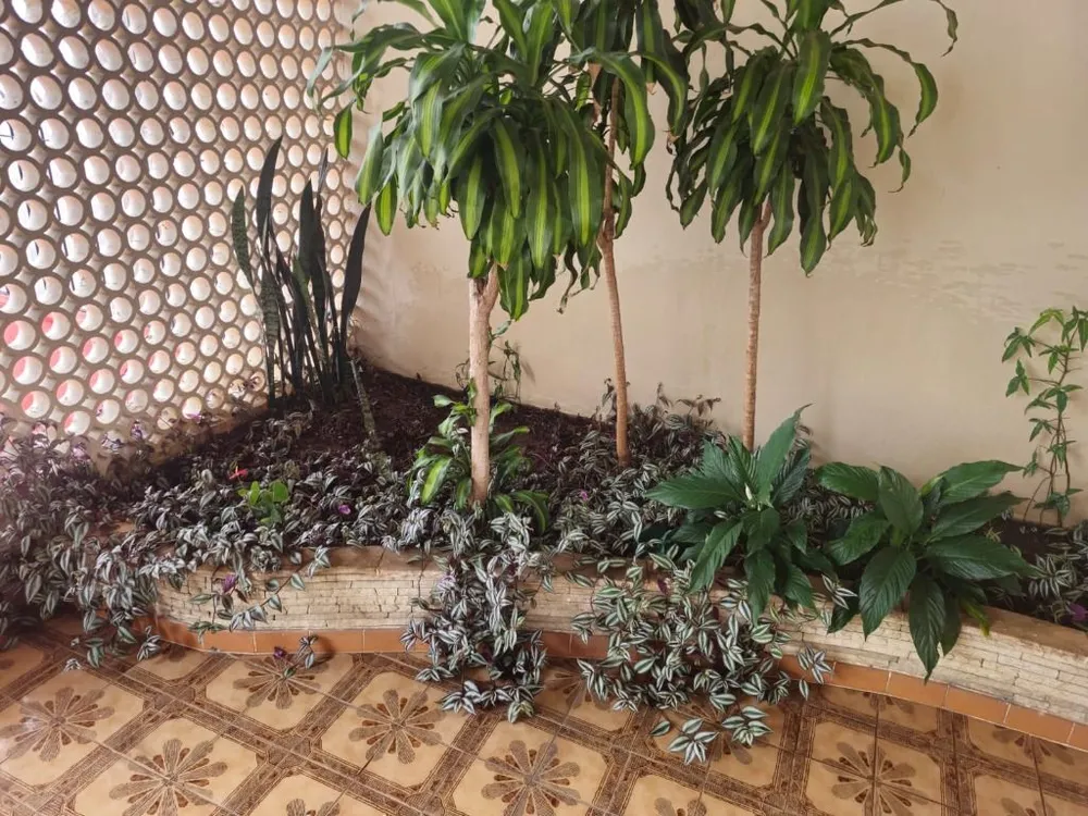 Sobrado, 5 quartos, 420 m² - Foto 4