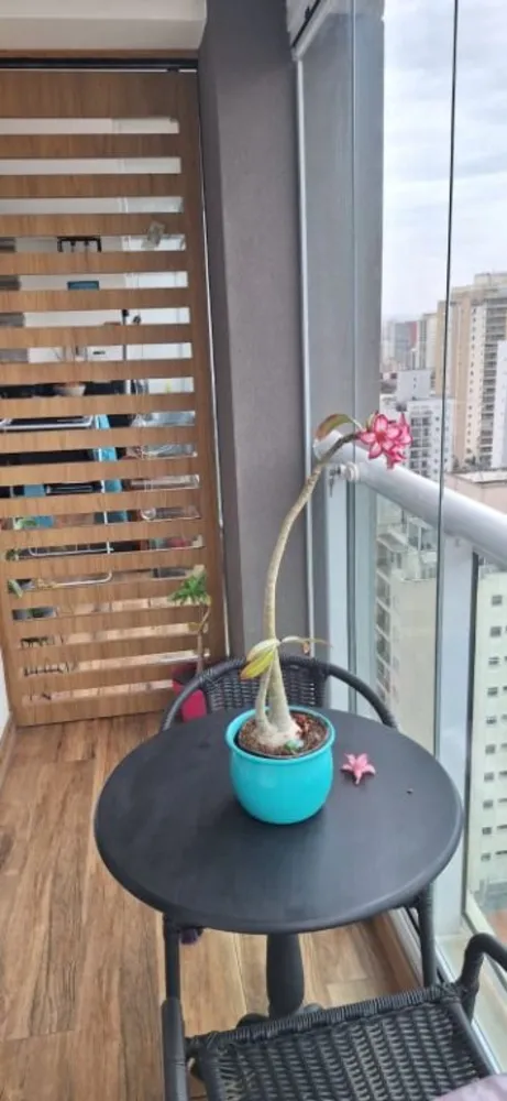 Apartamento, 3 quartos, 165 m² - Foto 6