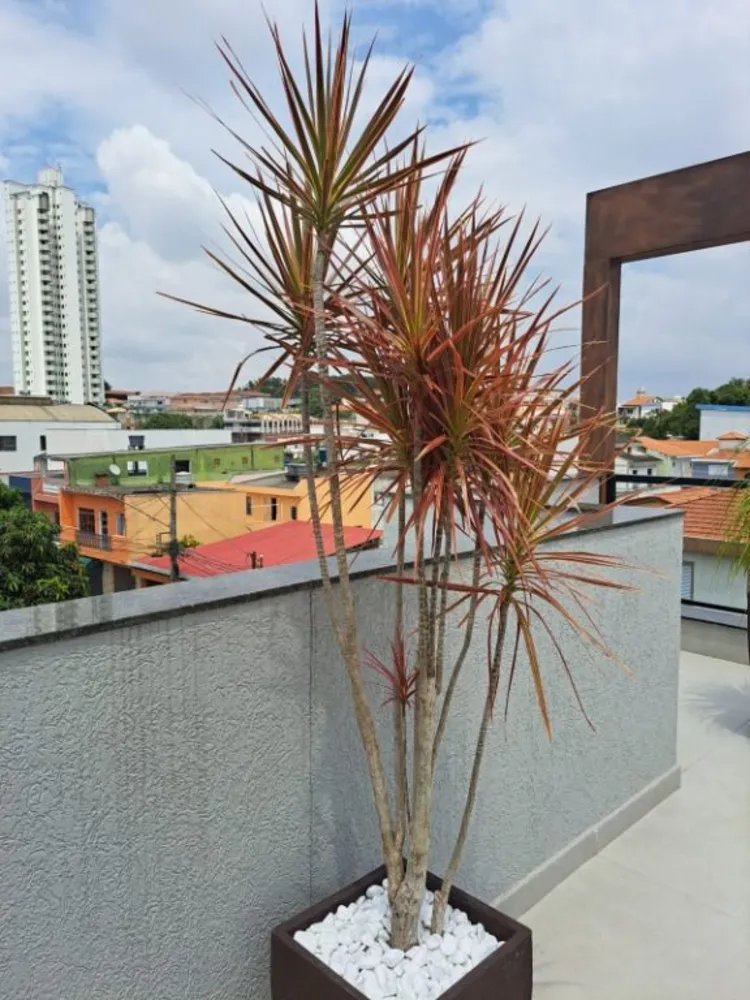 Apartamento, 1 quarto, 33 m² - Foto 6