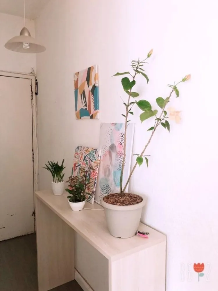Apartamento, 2 quartos, 68 m² - Foto 6