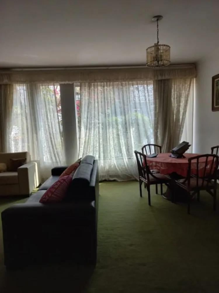 Casa, 4 quartos, 320 m² - Foto 6