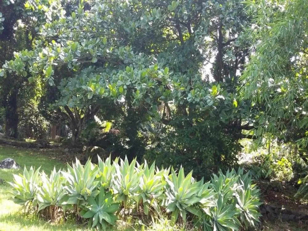 Casa, 7 quartos, 436 m² - Foto 11