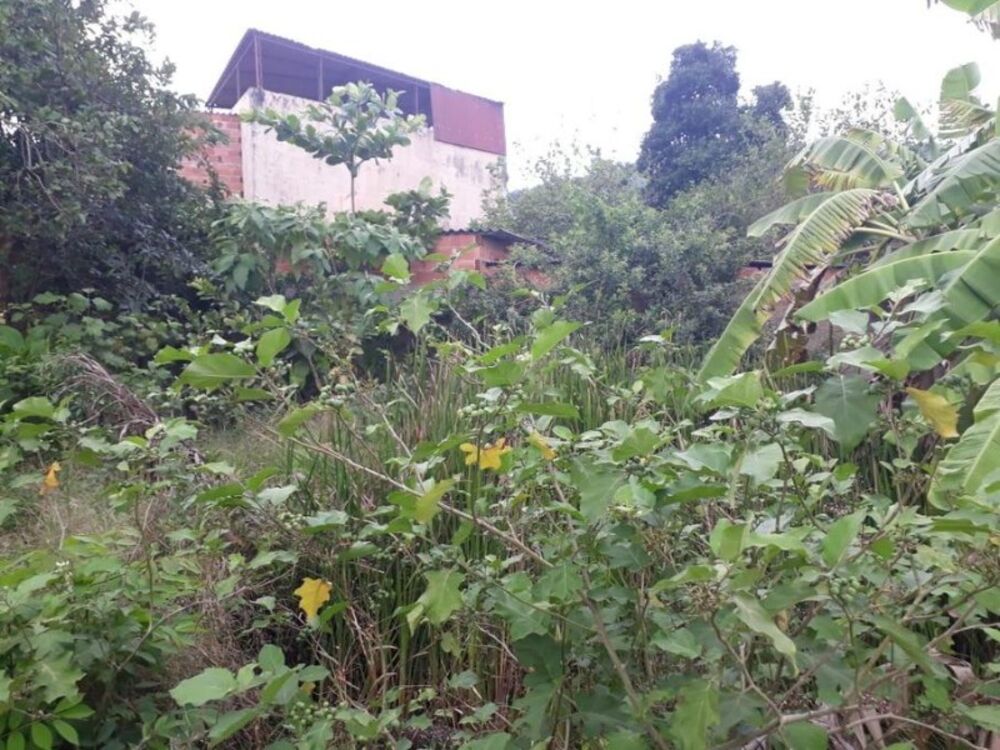Terreno, 1200 m² - Foto 15