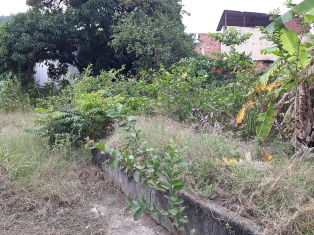 Terreno, 1200 m² - Foto 12