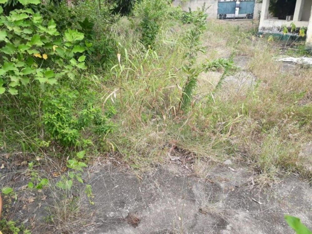 Terreno, 1200 m² - Foto 7
