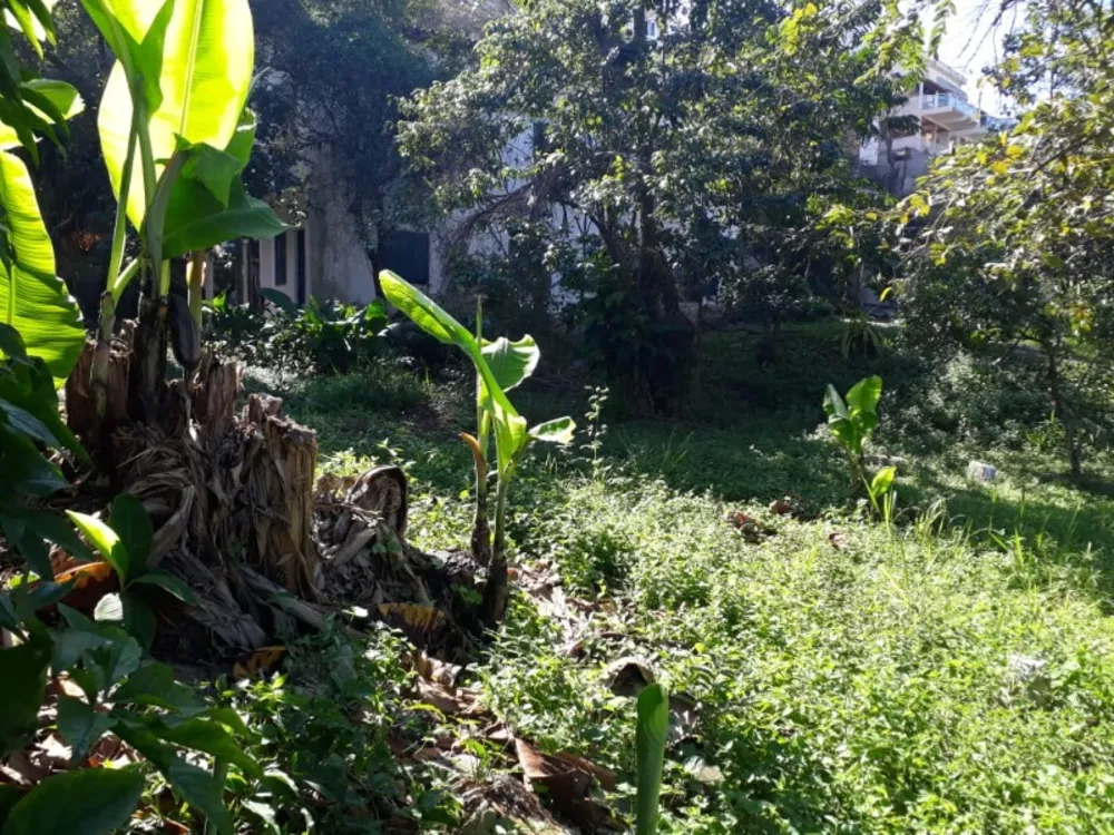 Terreno, 1600 m² - Foto 12