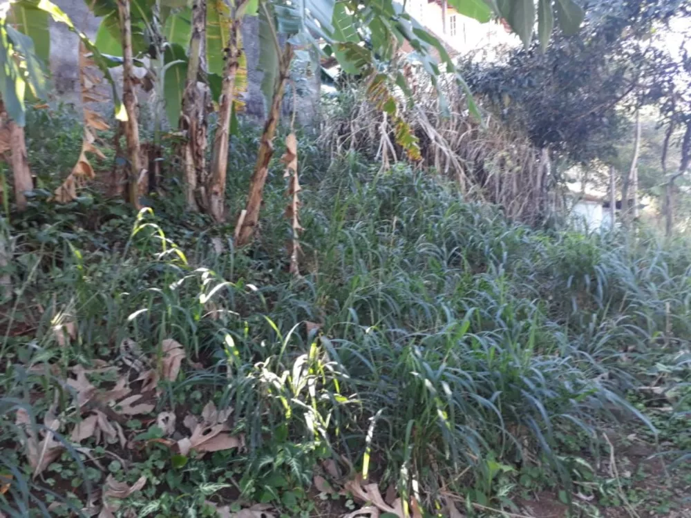 Terreno, 1600 m² - Foto 4