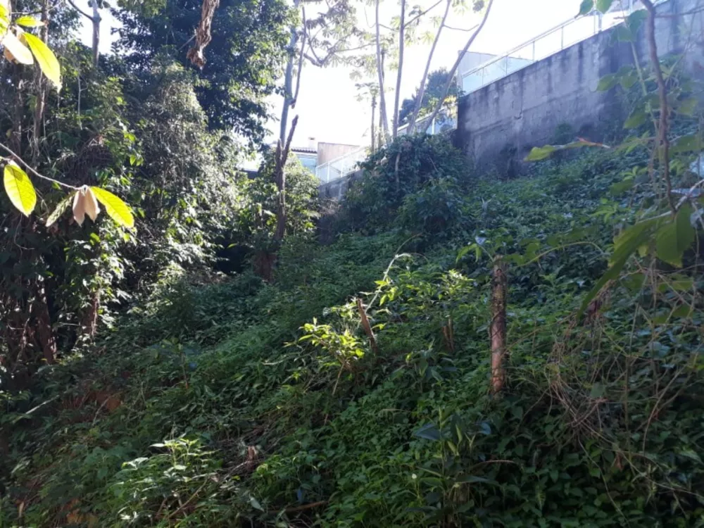 Terreno, 1600 m² - Foto 11