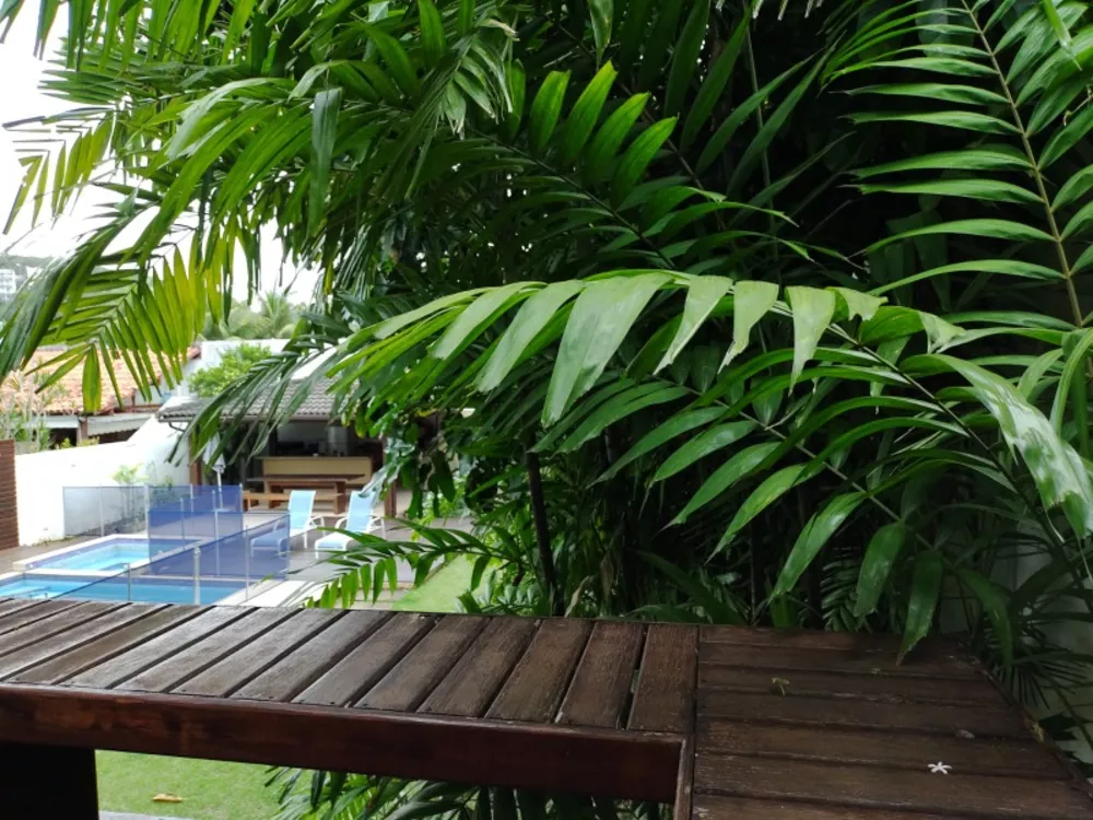 Casa, 4 quartos, 213 m² - Foto 24