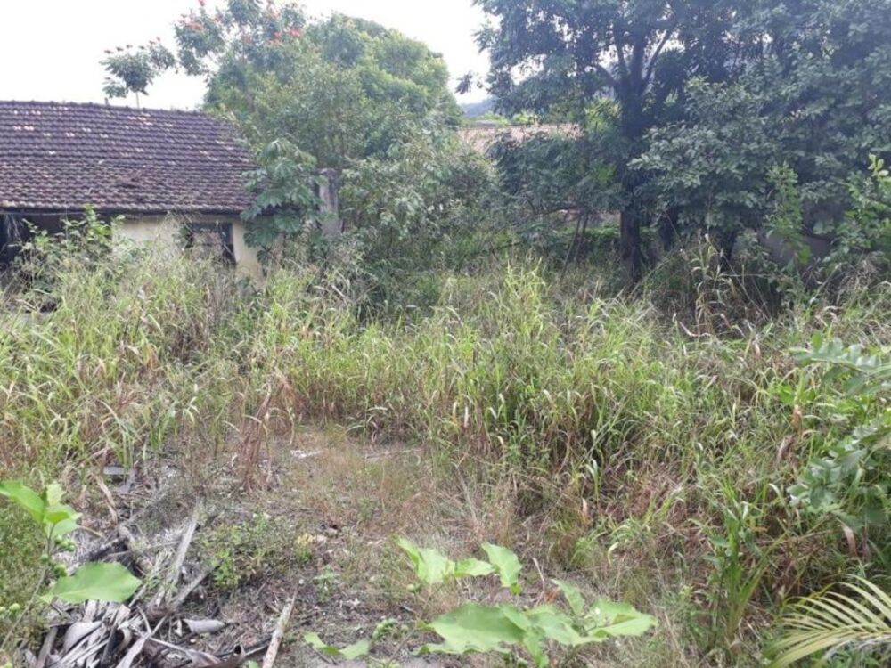 Terreno, 1200 m² - Foto 14