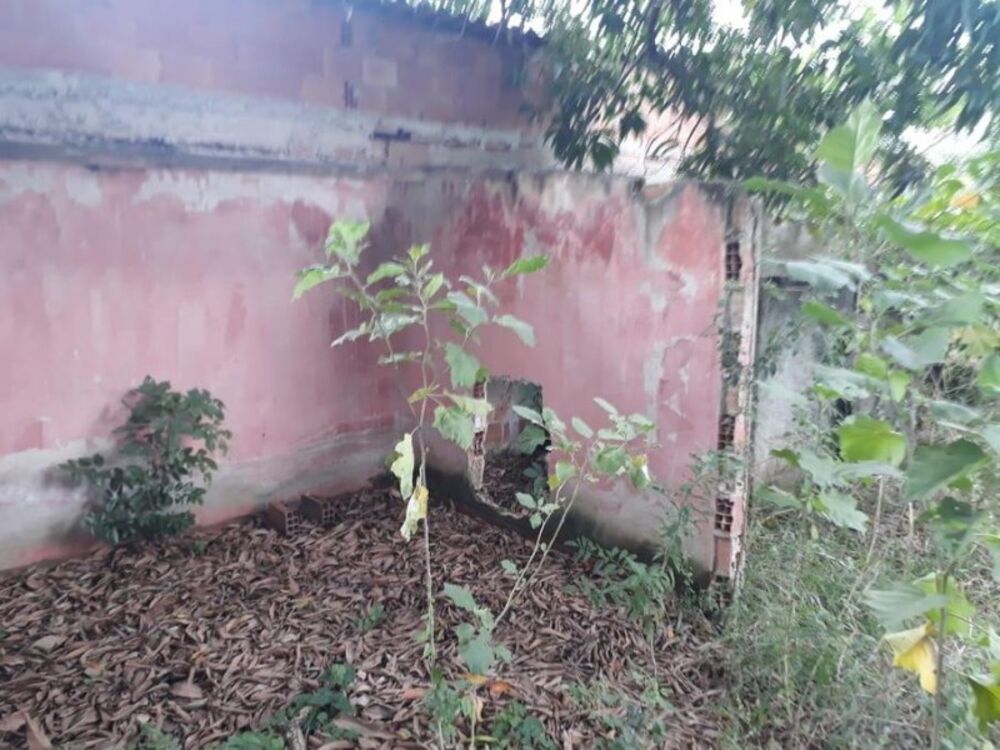 Terreno, 1200 m² - Foto 13