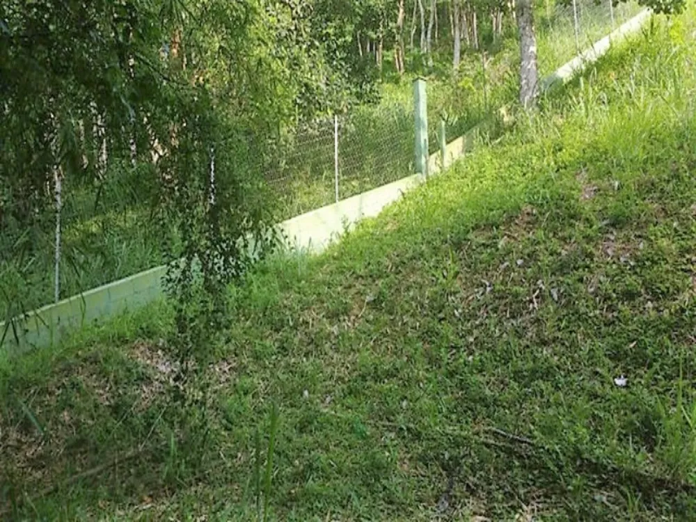 Terreno, 750 m² - Foto 6