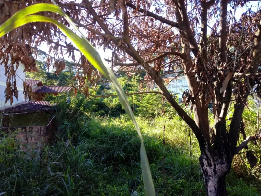 Terreno, 360 m² - Foto 12