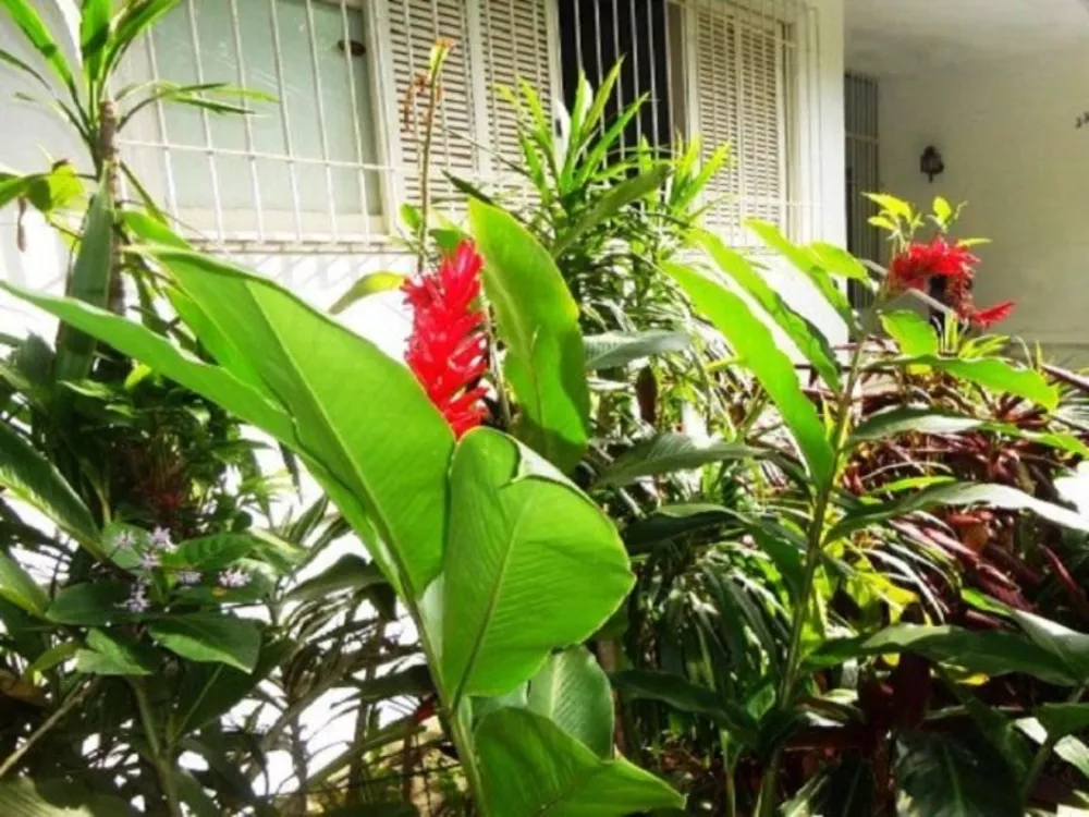 Casa, 6 quartos, 654 m² - Foto 15